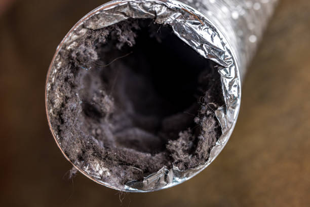 Professional Airduct Cleaning in Cairo, GA